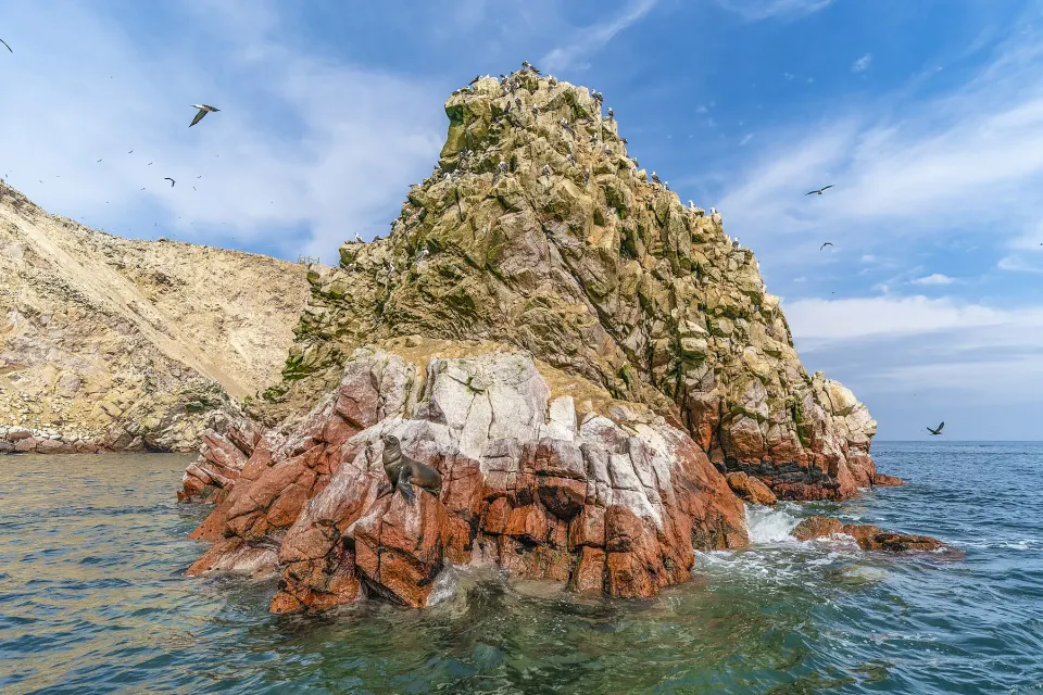 Un islote de las Islas Ballestas con aves marinas sobre la roca, rodeado por el mar