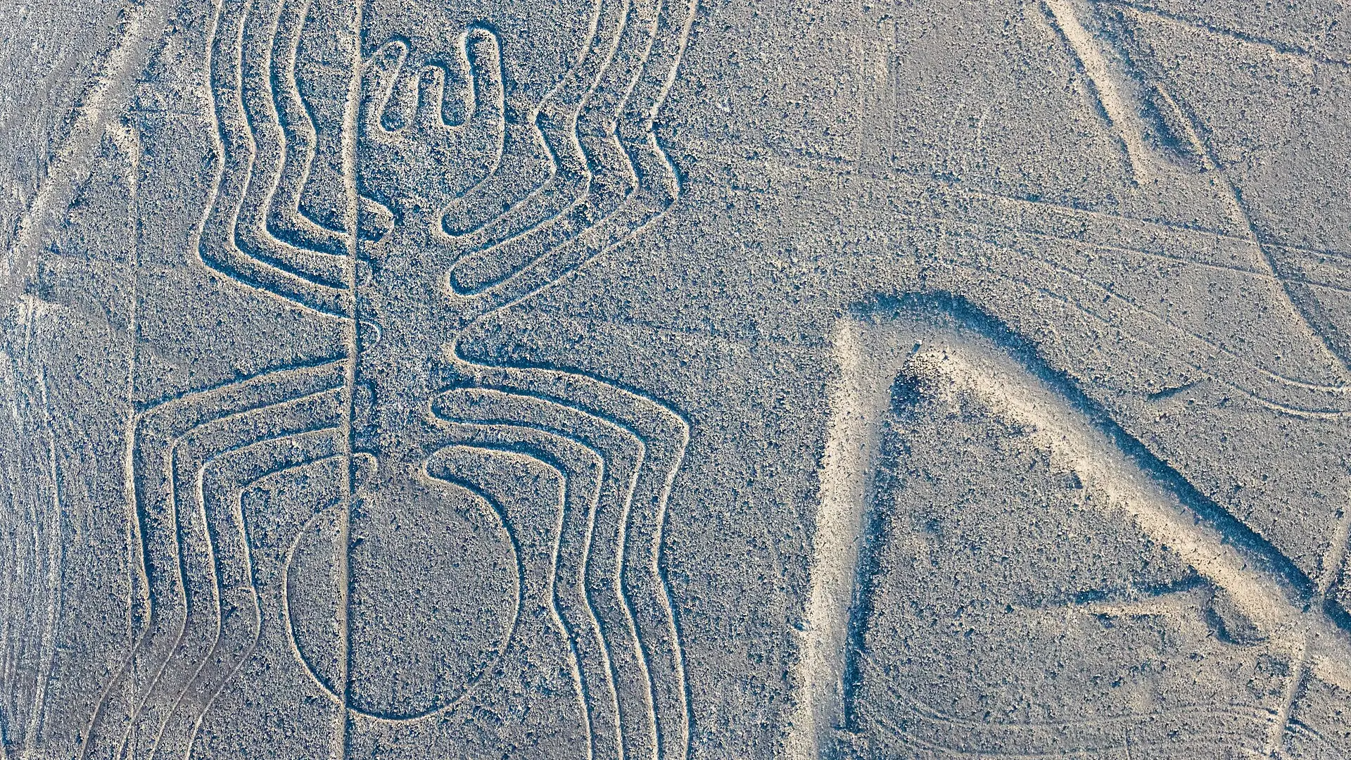La Araña de las Líneas de Nazca vista desde el aire