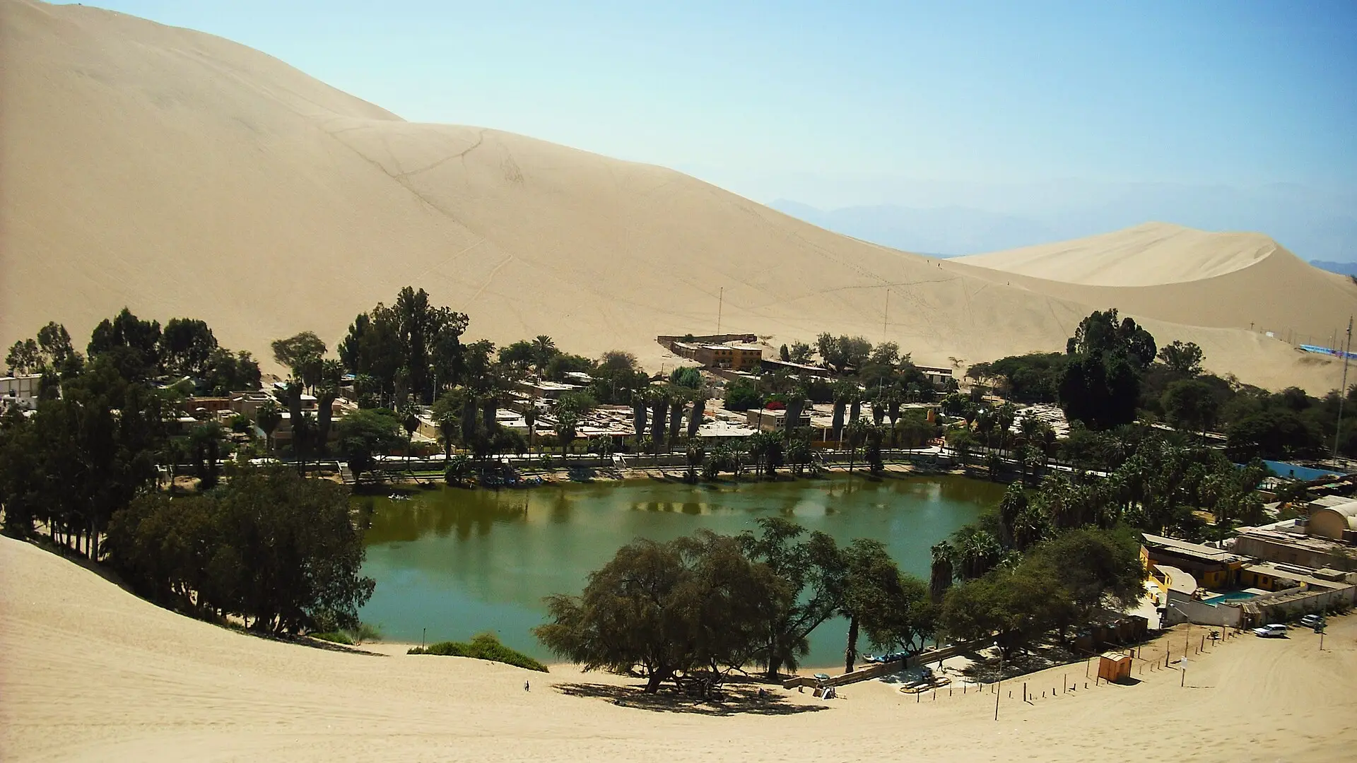 La laguna de Huacachina rodeada de palmeras y dunas