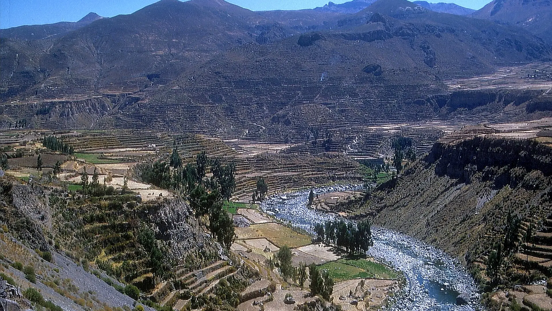 El valle del Colca con sus andenes y el río al fondo del cañón
