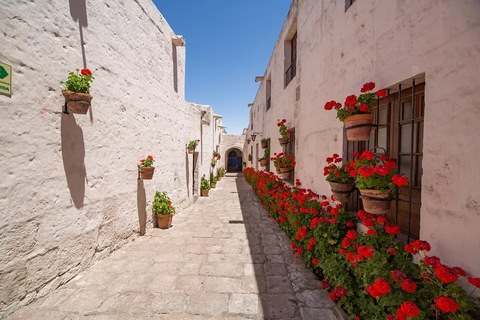 Uma rua de muros de sillar com gerânios vermelhos no Mosteiro de Santa Catalina, em Arequipa