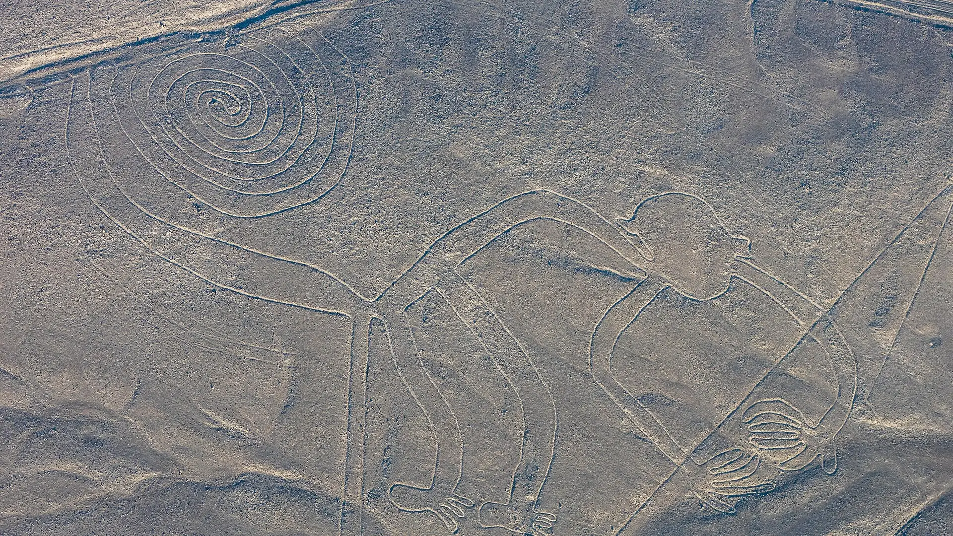 El Mono de las Líneas de Nazca visto desde el aire